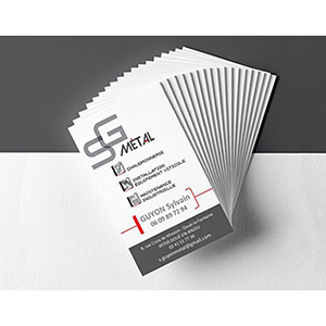 cartes_visites_sg_metal