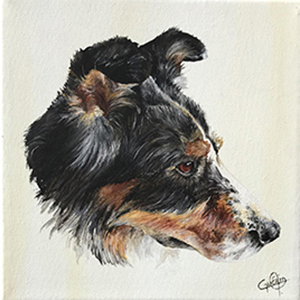 chien_1