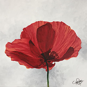 coquelicot_1