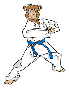 judoka_singe_3