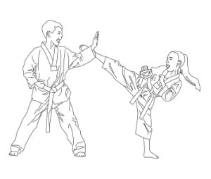 karatekas