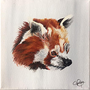 panda_roux