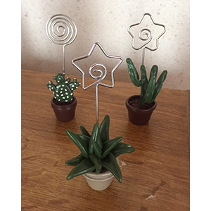 porte_photos_cactus