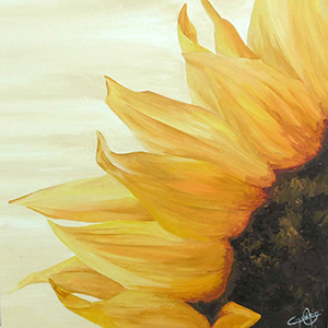 tournesol