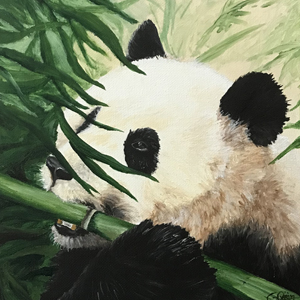 panda_2