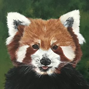 panda_roux_2